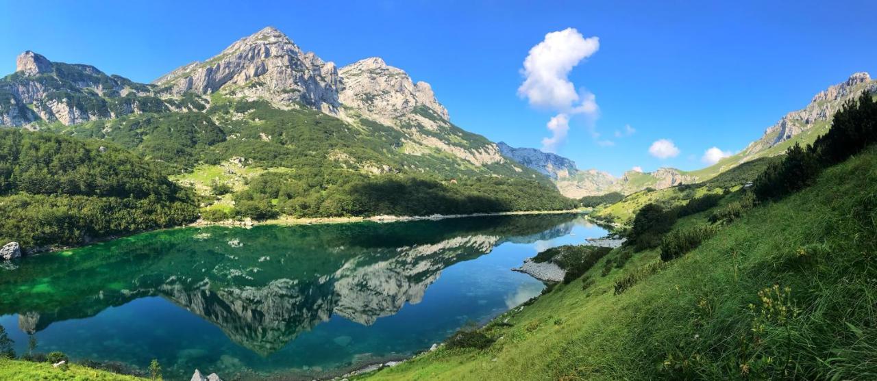 Underwoods Zabljak Guesthouse Екстериор снимка