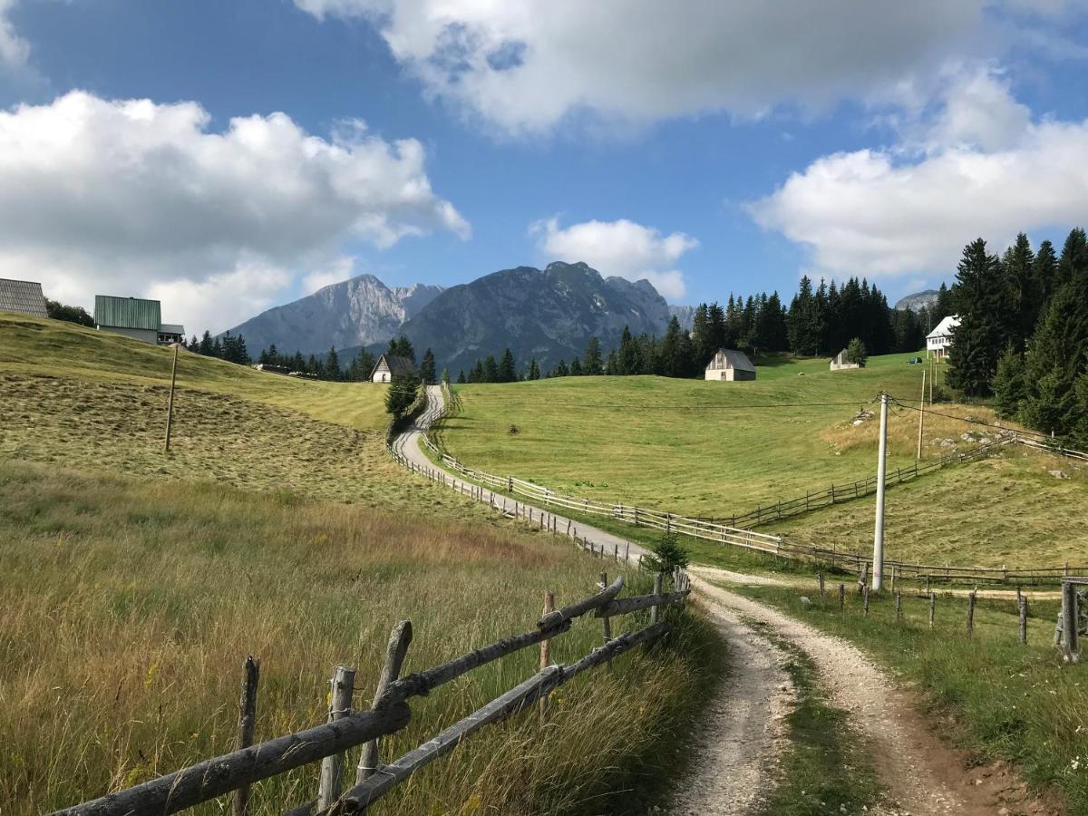Underwoods Zabljak Guesthouse Екстериор снимка
